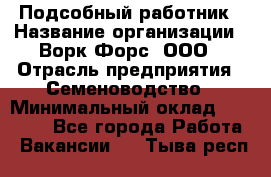 Подсобный работник › Название организации ­ Ворк Форс, ООО › Отрасль предприятия ­ Семеноводство › Минимальный оклад ­ 30 000 - Все города Работа » Вакансии   . Тыва респ.